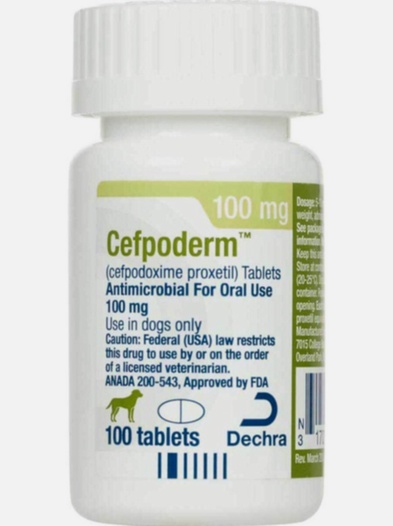 Acheter du cefpodoxime - Illustration de comprimés et flacon