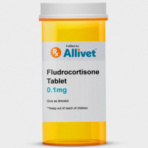 Flacon et comprimés de fludrocortisone